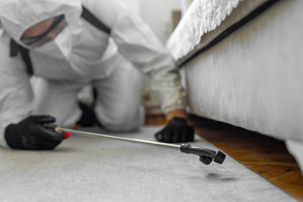 Professional Bed Bug Control technician working in Keene, NH
