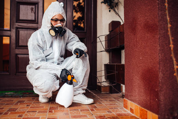 Reliable Bed Bug Control contractor in Keene, NH by Nex Pest Control