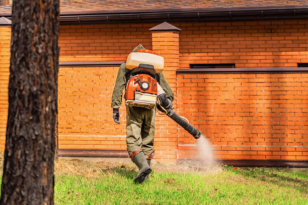 Trusted Bed Bug Control service in Keene, NH - Nex Pest Control